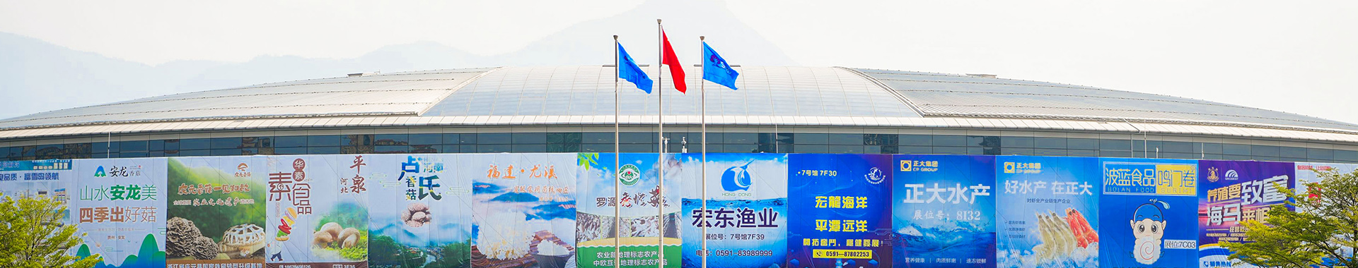 2811770881675_.pic_hd