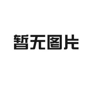 2025春GSF项目介绍